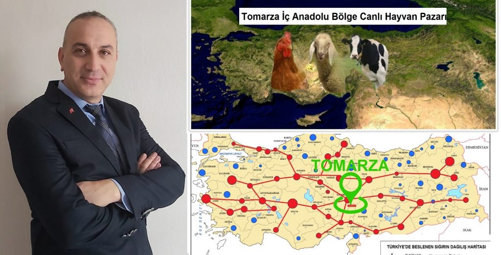 Tomarza’ya Canlı Hayvan Pazarı için Proje