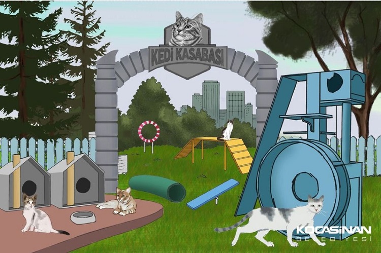 Küçük dostlara ‘Kedi Kasabası’