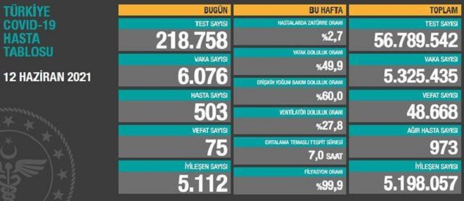 12 HAZİRAN:KORONAVİRÜS TABLOSU