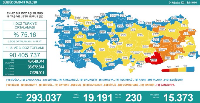 24 AĞUSTOS KORONAVİRÜS TABLOSU