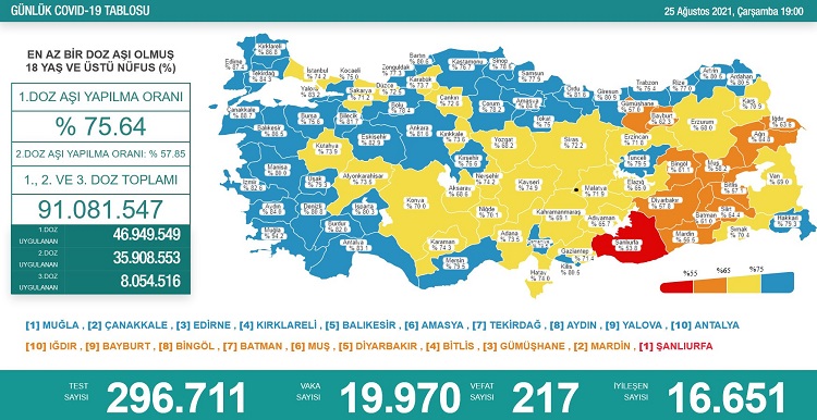 25 AĞUSTOS : KORONAVİRÜS TABLOSU