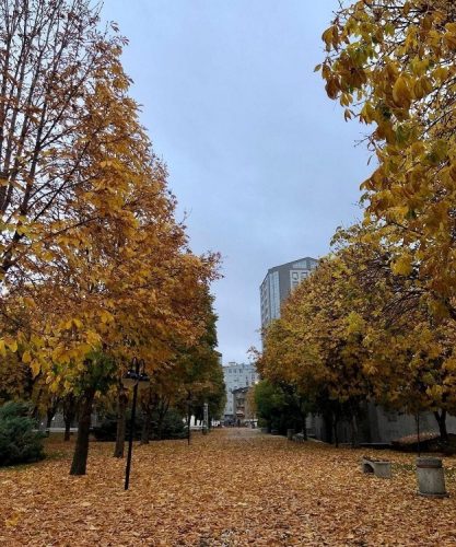 Dökülen Yapraklar Görsel Şölen Sundu