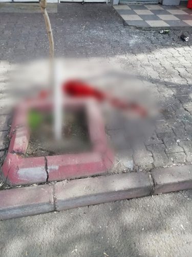 2.kattan atılan şahıs ağır yaralandı