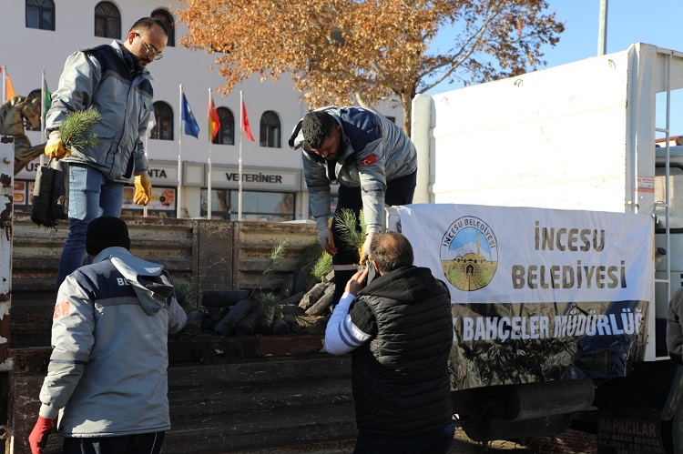 İncesu’da ‘Fidan Dik Orman Olsun, Yaşayacak Yurdun Olsun’ sloganı ile 5 bin çam fidanı dağıtıldı