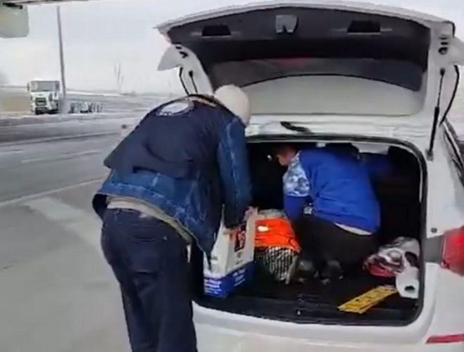 5 kaçak göçmen yakalandı