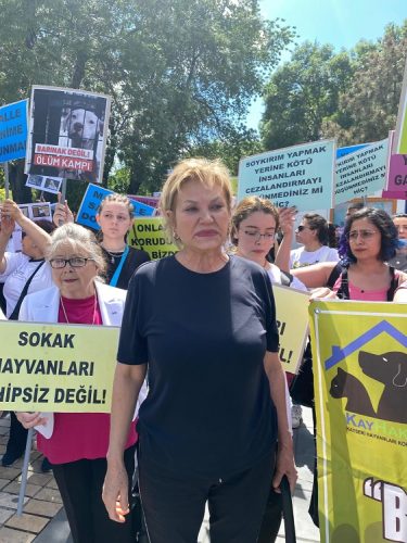 KAYHAKDER Başkanı Uzel: “Hayvanların üzülmesine sebep olmak kul hakkı değil midir”